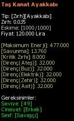 Taş Kanat Ayakkabı eşya simgesi
