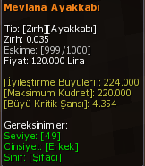 Mevlana Ayakkabı eşya simgesi